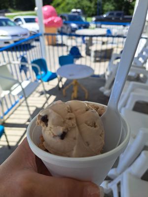 Sunni Sky's Homemade Ice Cream by null