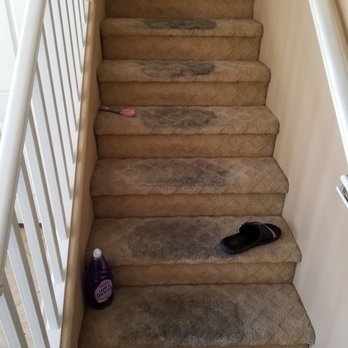 Western Carpet Care - Before - Carpet Cleaning Near Me - Santa Ana, California Western Carpet Care - Before - Carpet Cleaning Near Me - Santa Ana, California