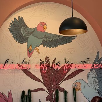 Parakeet Cafe - Carlsbad - Coffee & Tea Near Me - Carlsbad, California Parakeet Cafe - Carlsbad - Coffee & Tea Near Me - Carlsbad, California