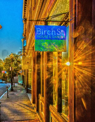 Birch Street House & Garden