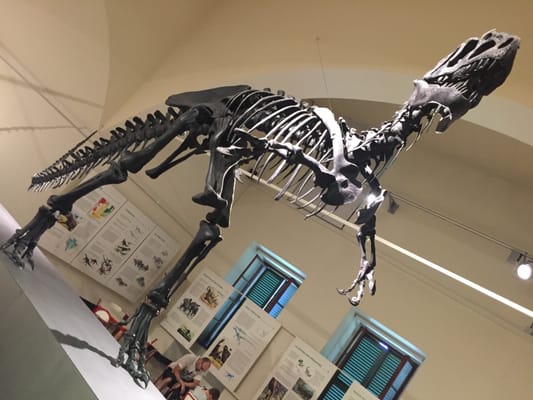 Civic Museum of Natural Sciences in Bergamo by null