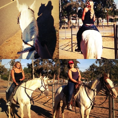 S&D Horseback Riding by null