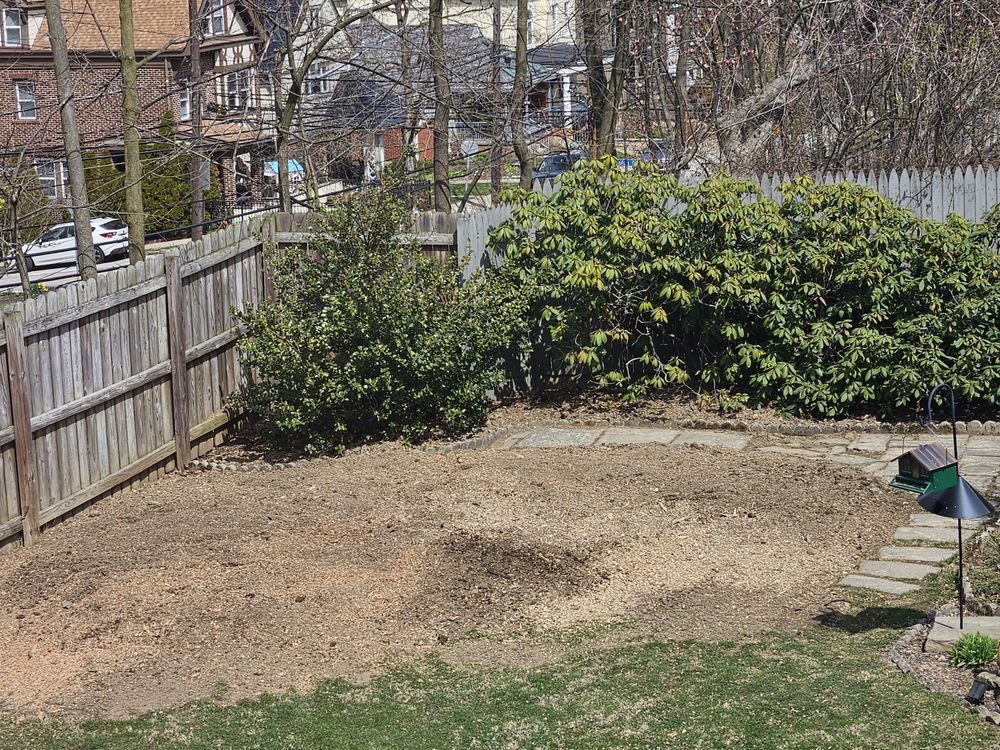 BEST 4 LESS TREE SERVICE Updated June 2024 1215 Sandusky St, Pittsburgh, Pennsylvania Tree