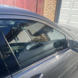 Authentic Auto Glass