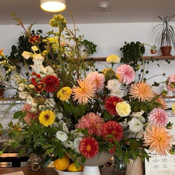 Molly Oliver Flowers - Florists Near Me Molly Oliver Flowers - Florists Near Me