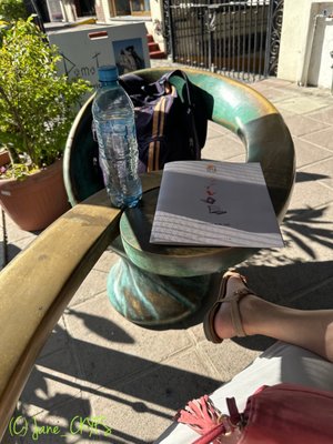 A Page In The Sun by null