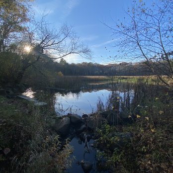 Ferncroft Pond - cute - Hiking Near Me - Danvers, Massachusetts