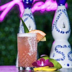 La Paloma
