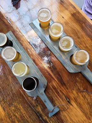 Lucky Pigeon Brewing Co. by null