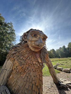 Bernheim Forest and Arboretum by null