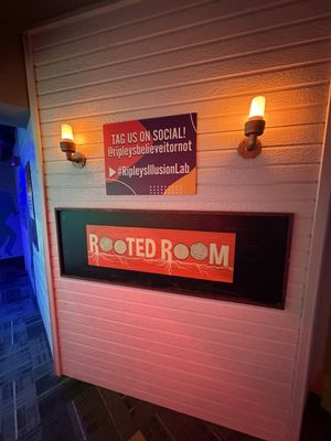 Ripley’s Illusion Lab by null