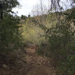 Stevens Park