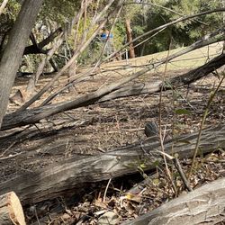 Rabbit Flats Frisbee Golf Course