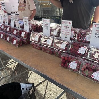 Pasadena Farmers Market - Farmers Market Near Me - Pasadena, California Pasadena Farmers Market - Farmers Market Near Me - Pasadena, California