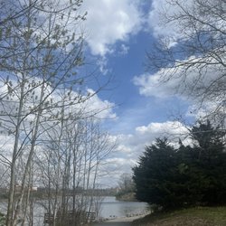 Waterfall Park