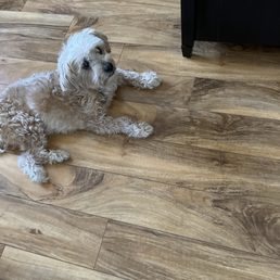 She's not happy about not getting her bath and cut today.