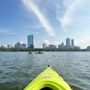 Paddle Boston - Condon Shell