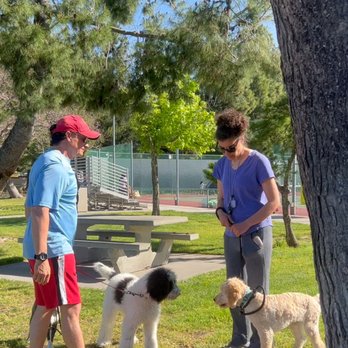 David Utter - Dog Evolution - Pet Training Near Me David Utter - Dog Evolution - Pet Training Near Me