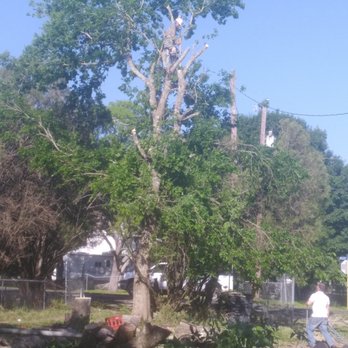 New Heights Tree Service - Tree Services Near Me - San Antonio, Texas New Heights Tree Service - Tree Services Near Me - San Antonio, Texas