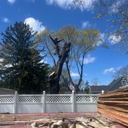 JH Tree Service & Landscaping