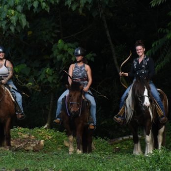 Pacific Liberty Equestrian Academy - Horseback Riding Near Me Pacific Liberty Equestrian Academy - Horseback Riding Near Me