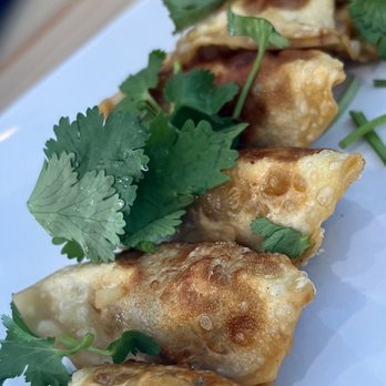 Pho Viet & Grill - Fried dumplings - Vietnamese Near Me - Spring, Texas