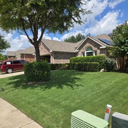 Top Lawn DFW
