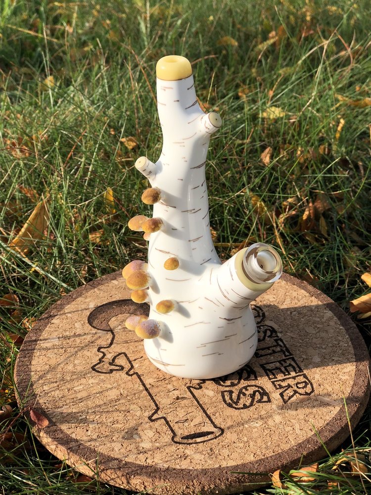 HYZER’S DISC GOLF AND SMOKE SHOP Updated August 2024 23 Photos & 12