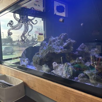 Kraken Coral & Coffee - One of the fish tanks - Coffee & Tea Near Me - Spokane, Washington