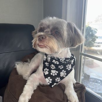 Happiness Grooming - Pet Groomers Near Me - Van Nuys, California Happiness Grooming - Pet Groomers Near Me - Van Nuys, California