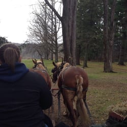 Lorenzo State Historic Site - Horse drawn wagon