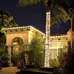 The Christmas Light Pros