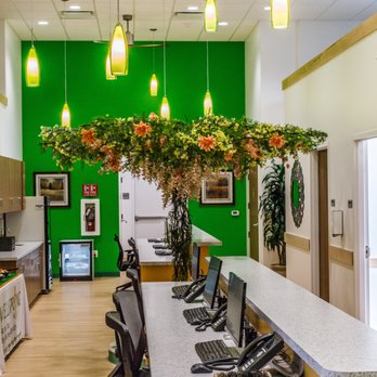 Wellspring Pediatrics & Walk-In Clinic - Walk-in Clinics Near Me - Culpeper, Virginia Wellspring Pediatrics & Walk-In Clinic - Walk-in Clinics Near Me - Culpeper, Virginia