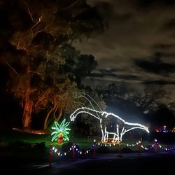 Dinosaurs at Fantasy Lights