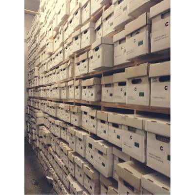 Jerry's Records by null