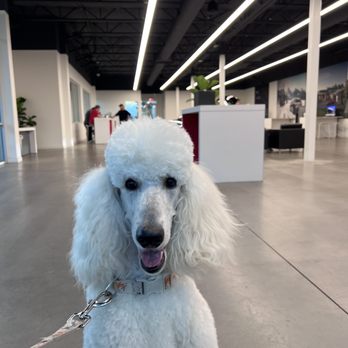 Tesla - Car Dealers Near Me - Carlsbad, California