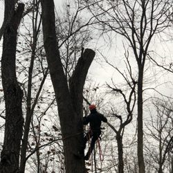All Trades Contracting - Climbing