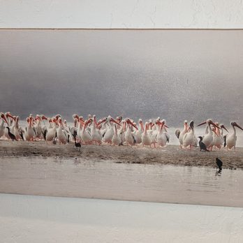Gerlach Nature Photography Gallery - Pelicans on a sandbar, printed on wood. - Art Galleries Near Me - Solvang, California Gerlach Nature Photography Gallery - Pelicans on a sandbar, printed on wood. - Art Galleries Near Me - Solvang, California