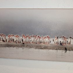 Gerlach Nature Photography Gallery - Pelicans on a sandbar, printed on wood.