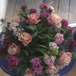 Poppymood