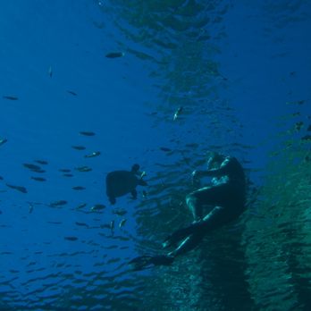Blue Grotto Dive Resort - Virgil never left my side, super friendly - Diving Near Me - Williston, Florida