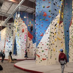 The Gravity Vault Marin