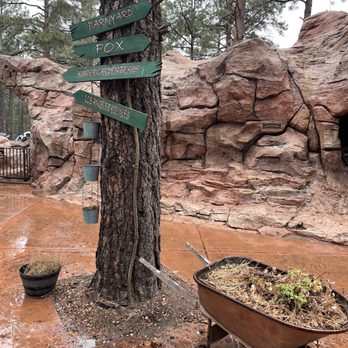 Bearizona - Zoos Near Me - Williams, Arizona Bearizona - Zoos Near Me - Williams, Arizona