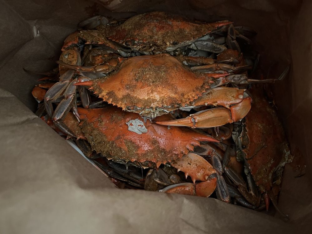 GLEN BURNIE SEAFOOD MARKET - Updated March 2025 - 18 Photos & 12