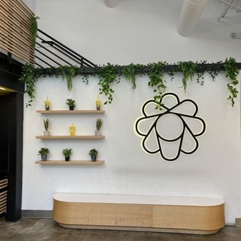 Sunright Tea Studio - Little Tokyo - Coffee & Tea Near Me - Los Angeles, California Sunright Tea Studio - Little Tokyo - Coffee & Tea Near Me - Los Angeles, California