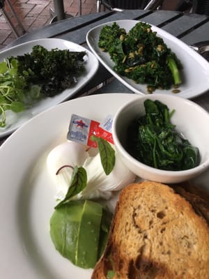 The Lion Hotel by null