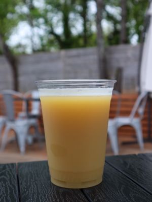 Sceptre Brewing Arts by null