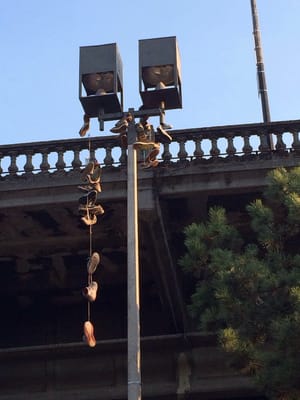 Burnside Skatepark by null