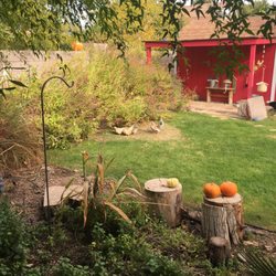 Arrowhead Montessori - Bird feeding area