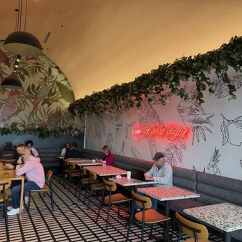 Parakeet Cafe - Newport Beach - Coffee & Tea Near Me - Newport Beach, California Parakeet Cafe - Newport Beach - Coffee & Tea Near Me - Newport Beach, California
